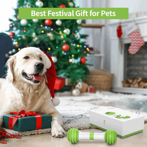 Automatic Dog Bone Toy, Smart Interactive Pet Toys for Boredoms, Electronic Dog Self Entertainment Toy, Safe & Durable Material - Image 7