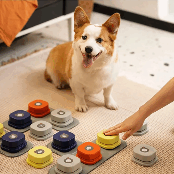 MEWOOFUN Dog Button Record Talking Pet Communication Vocal Training Interactive Toy Bell Ringer with Pad and Sticker Easy to Use - Image 2