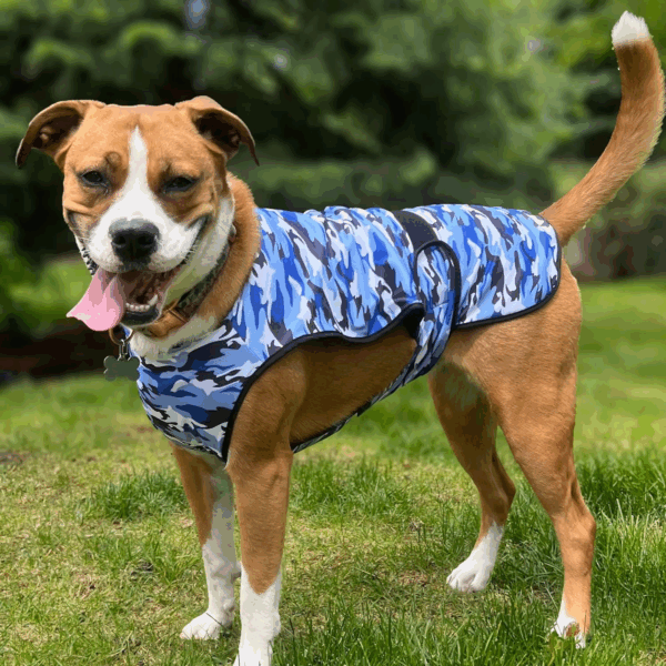 Dog Cooling Vest - 2-Layer Lightweight Performance - UPF50+ Full Coverage & Adjustable Fit for Small to Large Dogs (Blue, Small) - Image 2