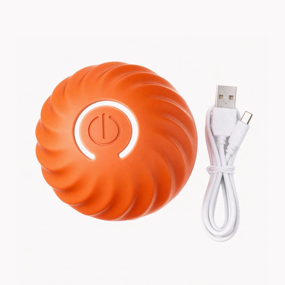 The SmartPawz PawMinder interactive ball and its included USB-C charging cable, showing everything that comes inside the box.